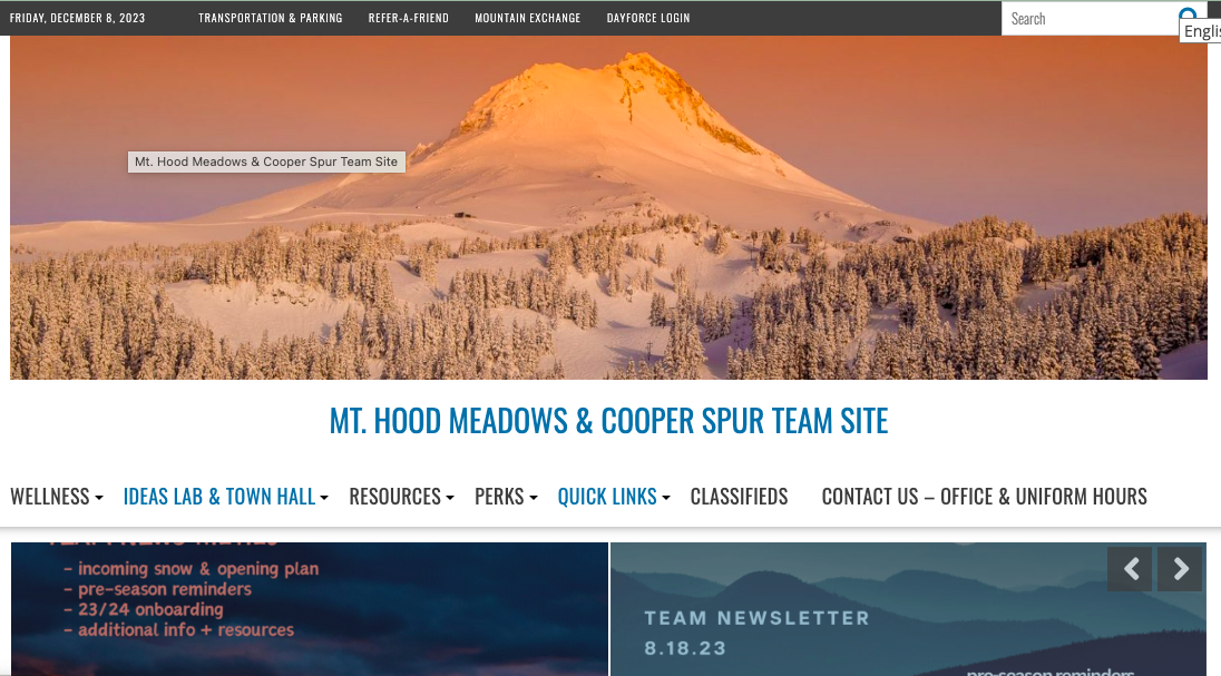 The Team Site homepage